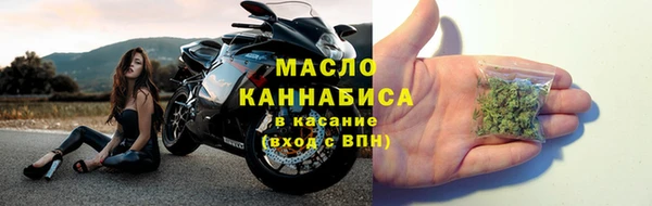 прущие грибы Армянск