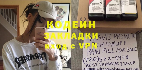 молекула духа Арсеньев