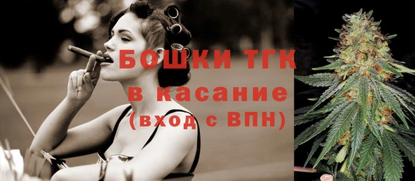 прущие грибы Армянск