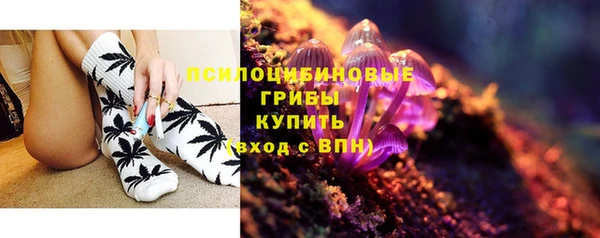 прущие грибы Армянск