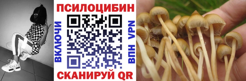 Псилоцибиновые грибы Cubensis  даркнет сайт  Белово 