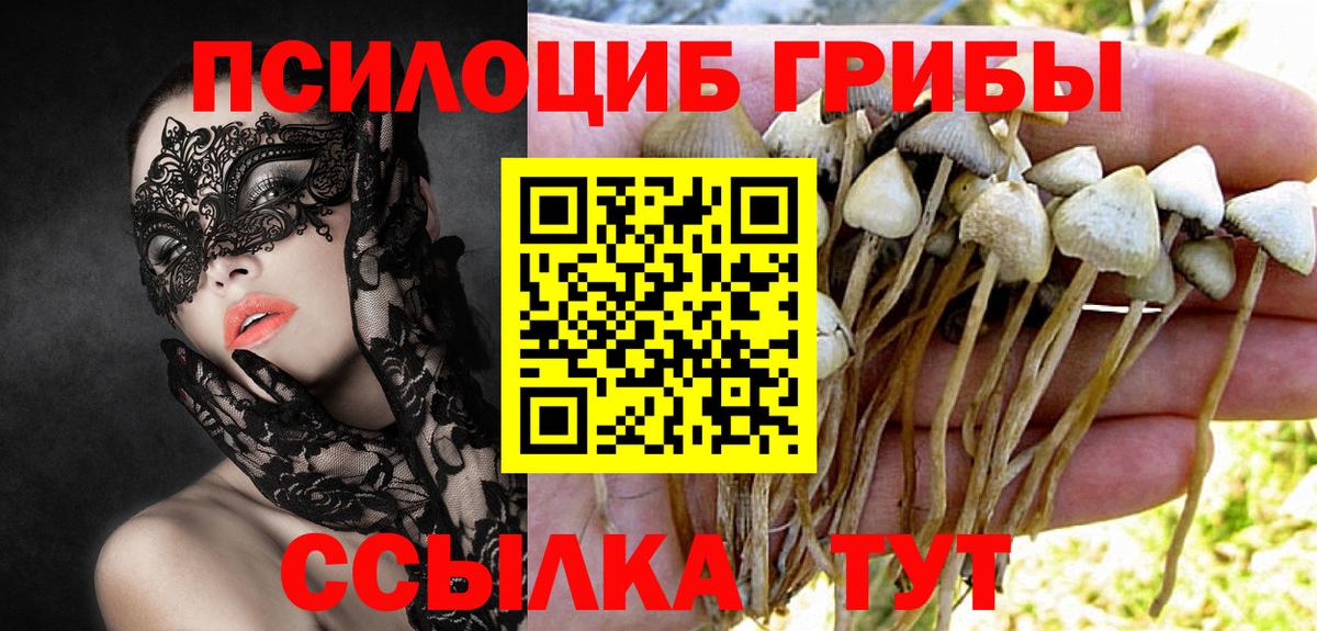 Галлюциногенные грибы MAGIC MUSHROOMS Белово