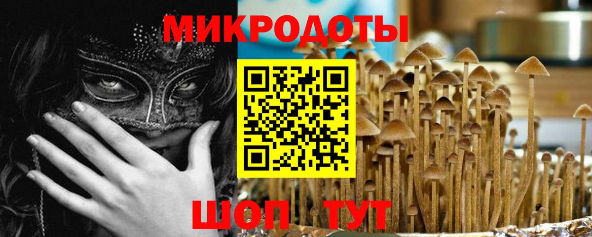 Галлюциногенные грибы MAGIC MUSHROOMS  Вход с VPN  Белово  Псилоцибиновые грибы ЛСД 