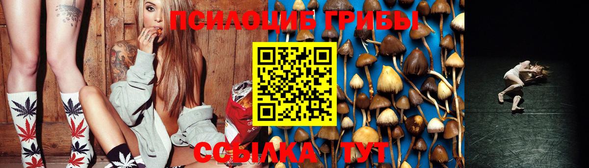 закладка  Белово  Галлюциногенные грибы мицелий 